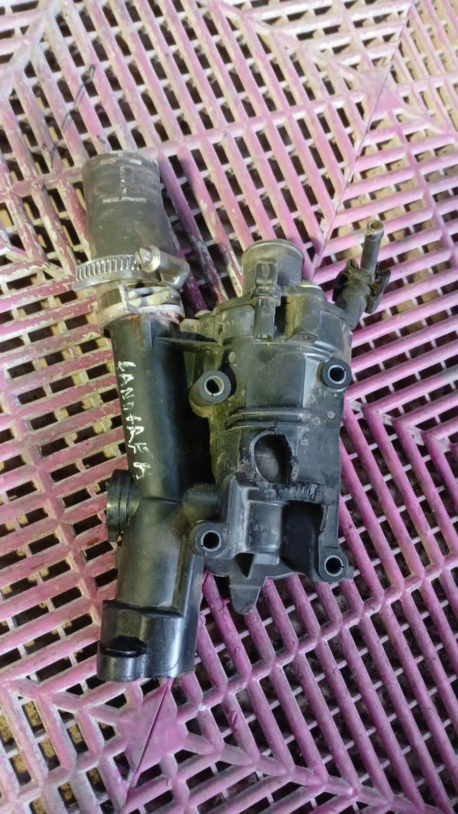 Termostato Peugeot Landtrek