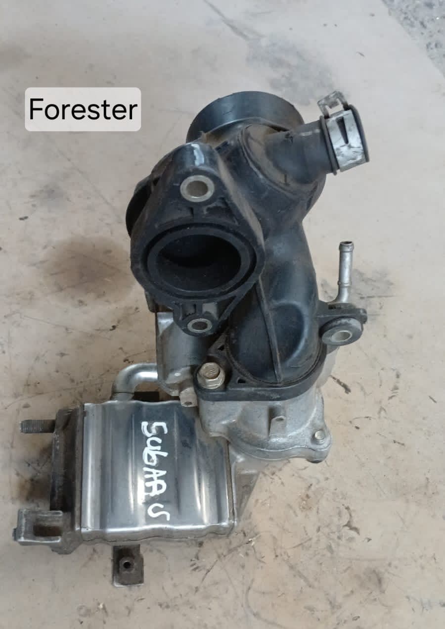 Válvula EGR Subaru Forester