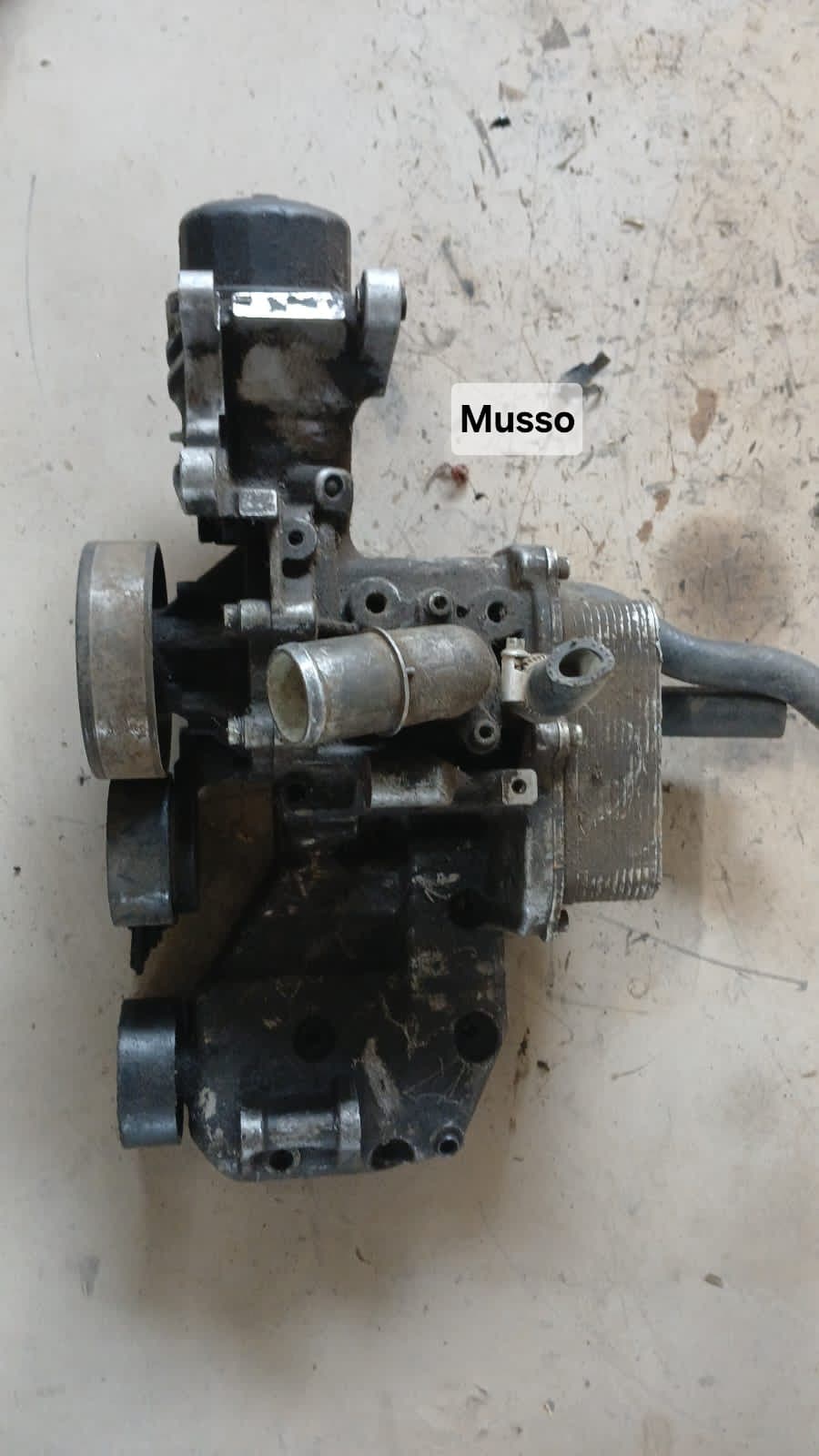 Enfriador de Aceite Ssangyong Musso