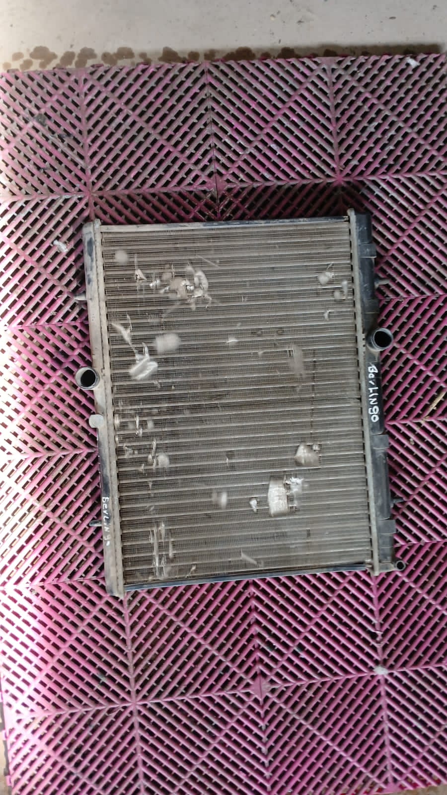 Radiador de Agua Citroen Berlingo